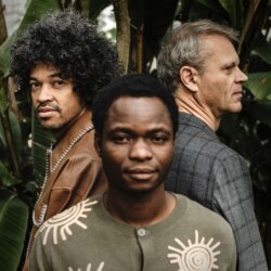 IBIYEWA  avatar
