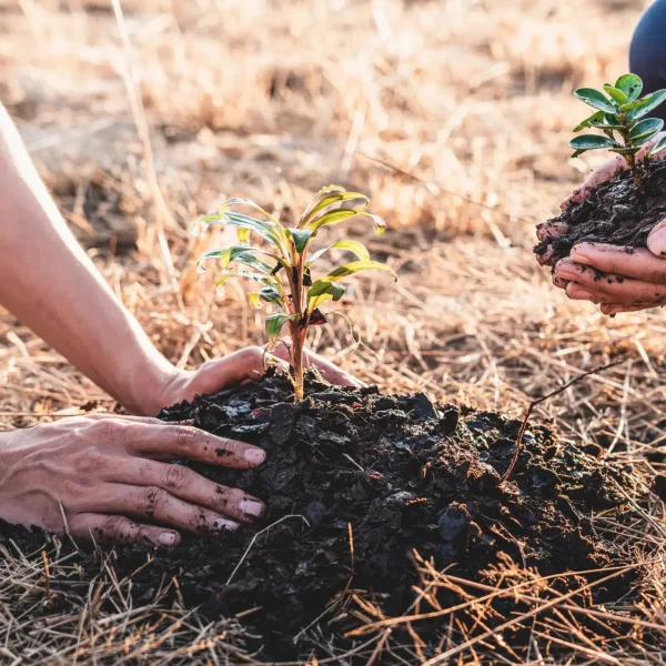 Picture Skoly - Udrzatelnosť